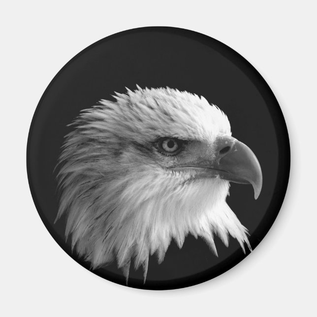Eagle Magnet (Front)