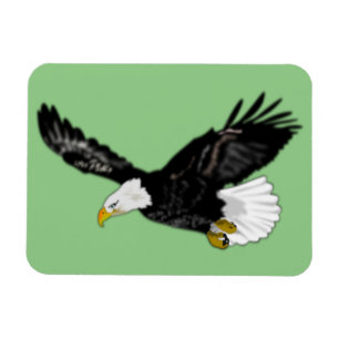 Eagle Magnet