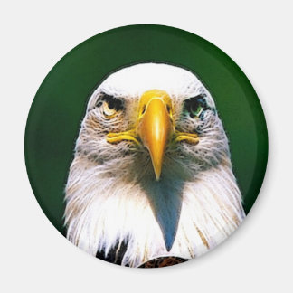 eagle magnet