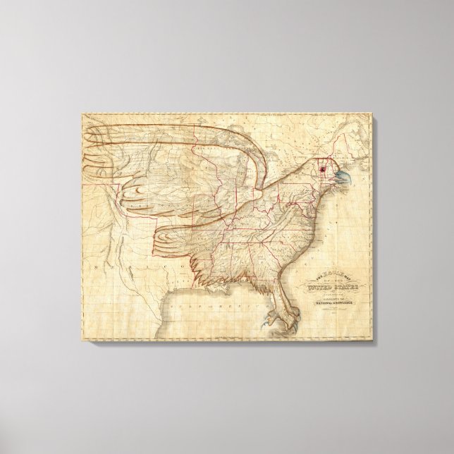 Eagle Map of the United States Canvas Print (Front)