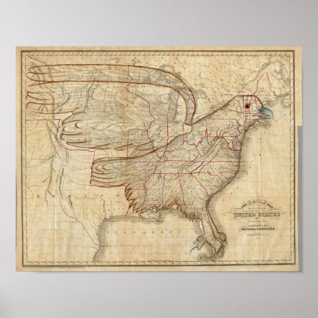 Eagle Map of the United States Poster (Front)