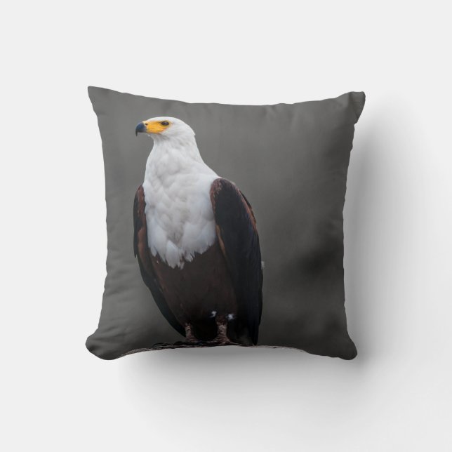 Eagle Minimalist Selective Colour Photography Cushion (Front)