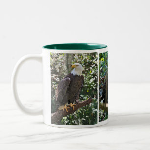 Eagle Mug