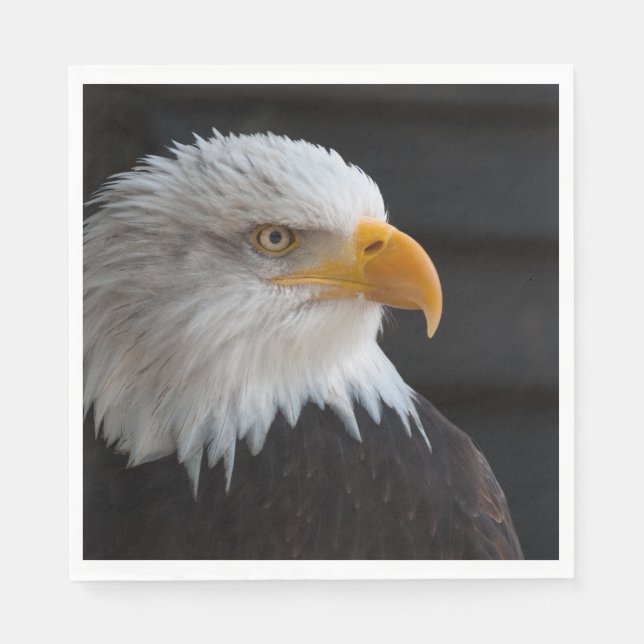 eagle napkin (Front)
