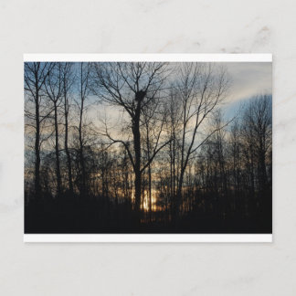 Eagle Nest Sunset Postcard