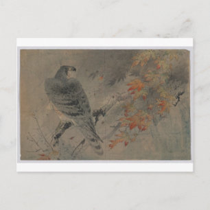 Eagle on a Maple Branch Postcard