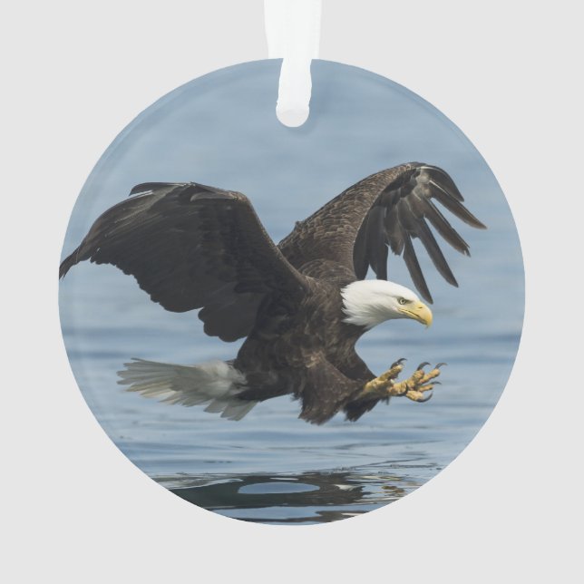 Eagle on Approach Ornament (Back)