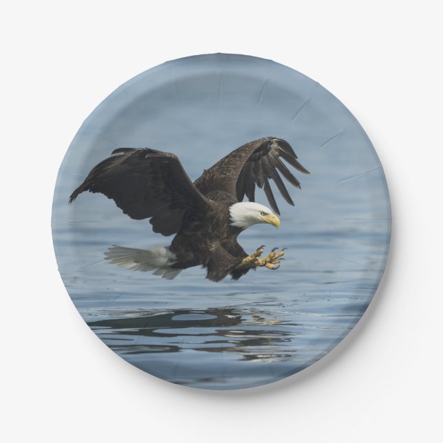 Eagle on Approach Paper Plate (Front)