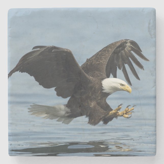 Eagle on Approach Stone Coaster (Front)