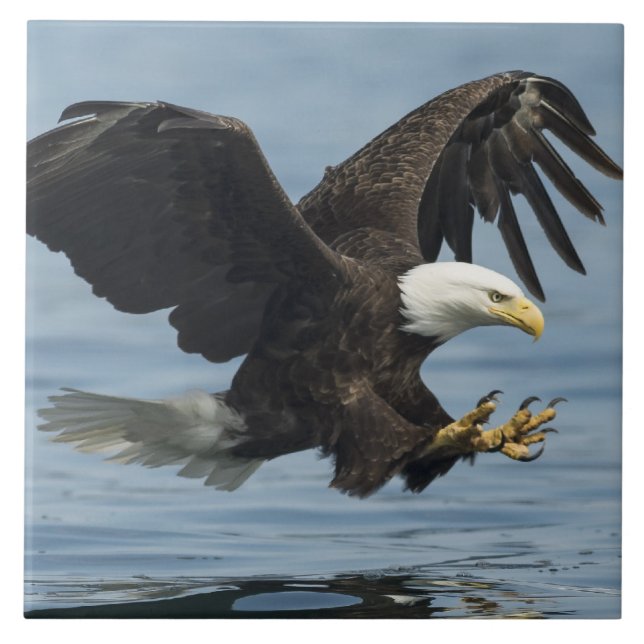 Eagle on Approach Tile (Front)