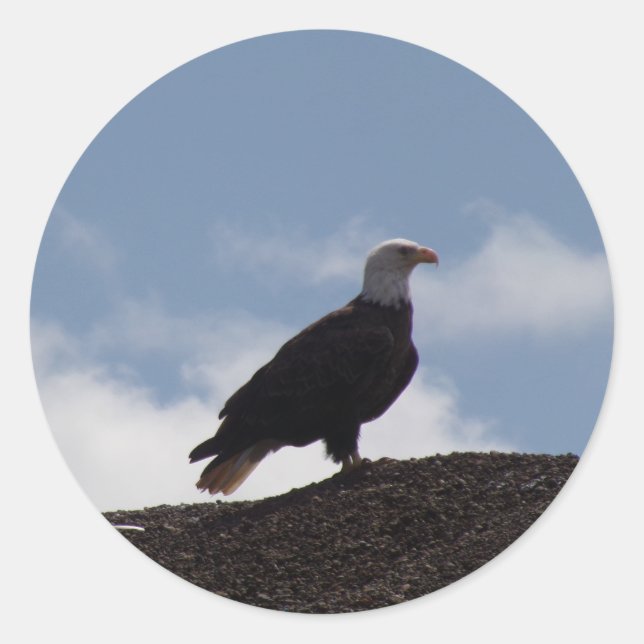 Eagle on High Ground Stickers (Front)