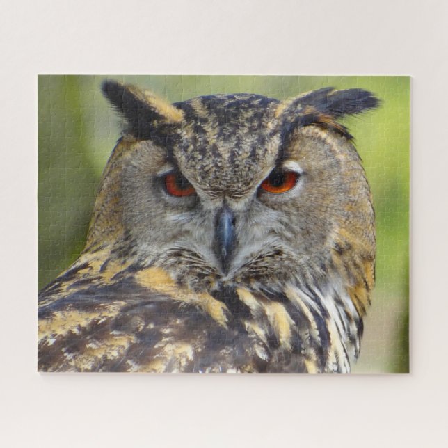 Eagle Owl-Bird of Prey. Jigsaw Puzzle (Horizontal)