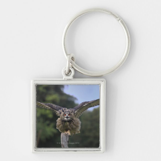 Eagle Owl (Bubo bubo) Key Ring (Front)
