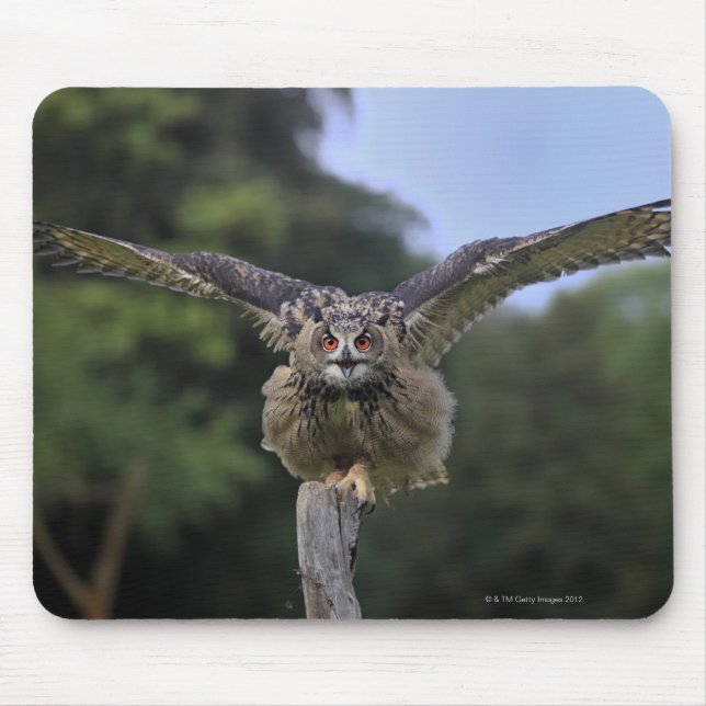 Eagle Owl (Bubo bubo) Mouse Mat (Front)