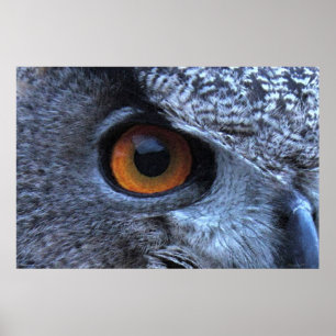 Eagle Owl Eye Poster -36x24 -other sizes available