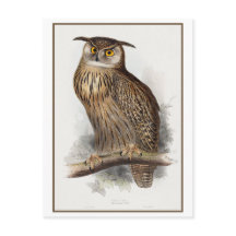 Eagle Owl Illustration by Edward Lear