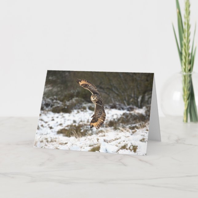 Eagle Owl in Flight Card (Front)