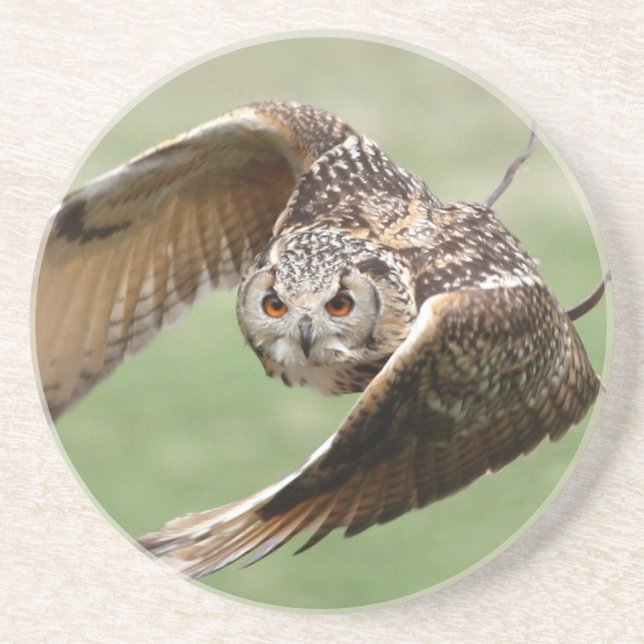 Eagle Owl In Flight Coaster (Front)
