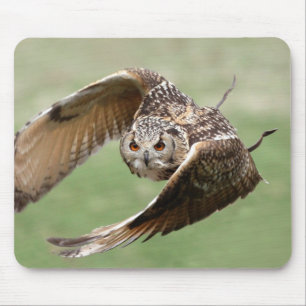 Eagle Owl In Flight Mouse Mat