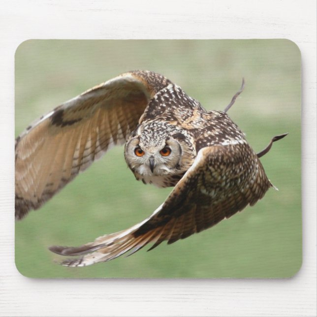 Eagle Owl In Flight Mouse Mat (Front)