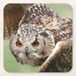 Eagle Owl In Flight Square Paper Coaster