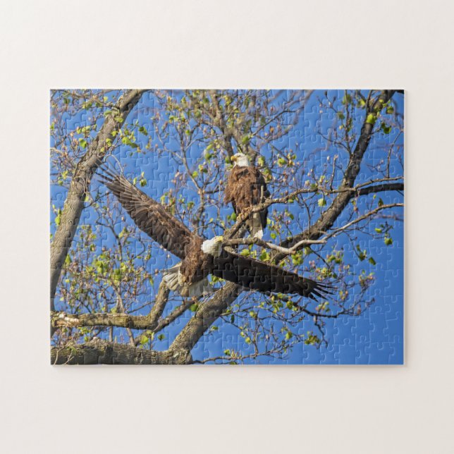 Eagle Pair Jigsaw Puzzle (Horizontal)
