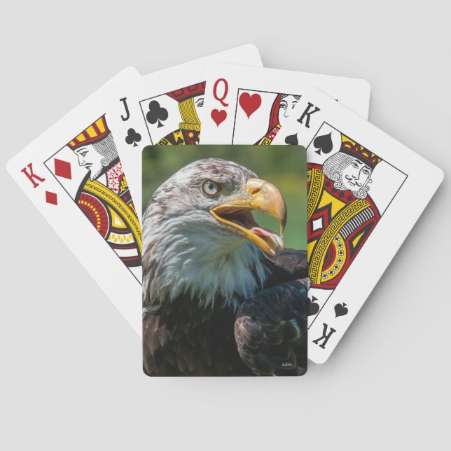 eagle photo playing cards (Back)