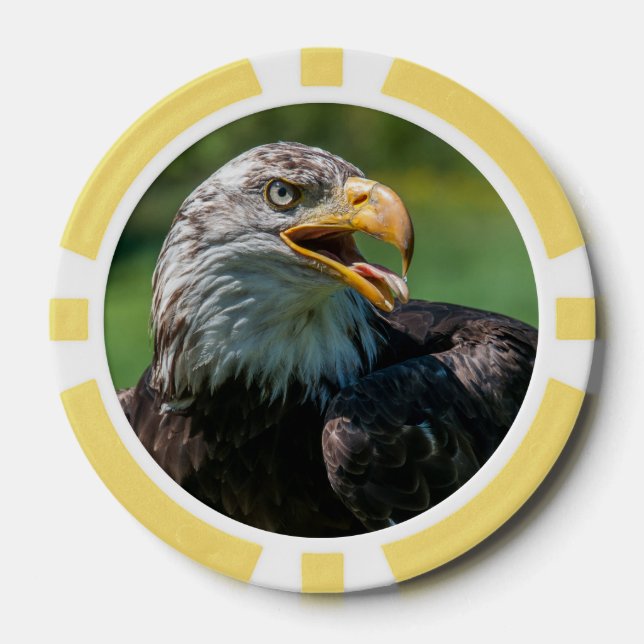 eagle photo poker chips (Front)