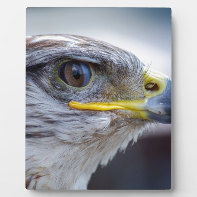 Eagle Plaque (Front)