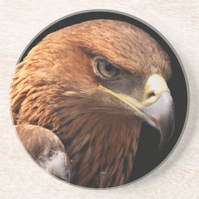Eagle portrait isolated on black coaster (Front)