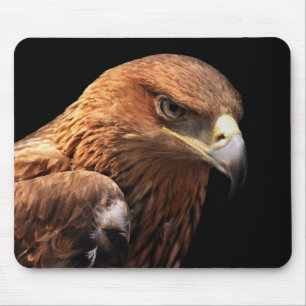 Eagle portrait isolated on black mouse mat