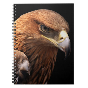Eagle portrait isolated on black notebook