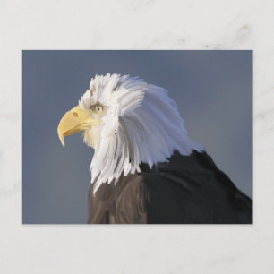 Eagle Postcard