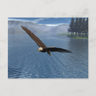 Eagle Postcard