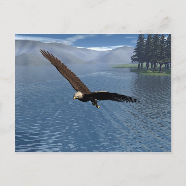 Eagle Postcard (Front)