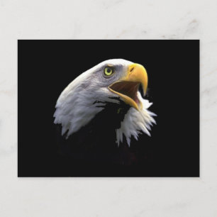 Eagle Postcard