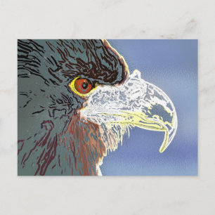 EAGLE POSTCARD