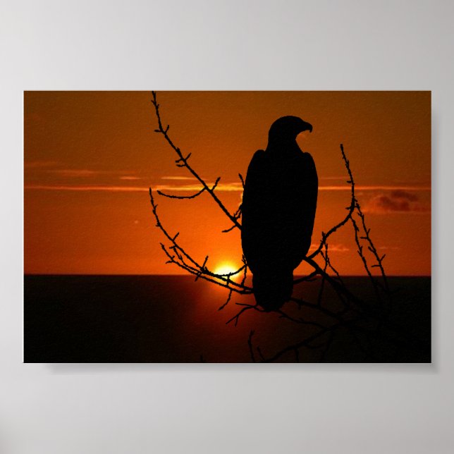 Eagle Poster (Front)