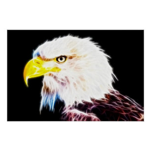 Eagle Poster