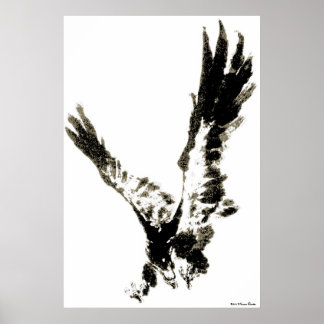 Eagle Print