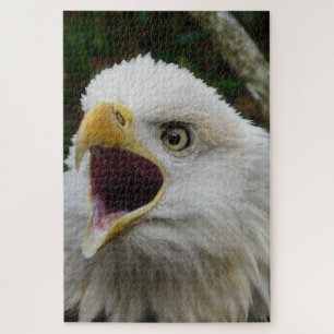Eagle Puzzle