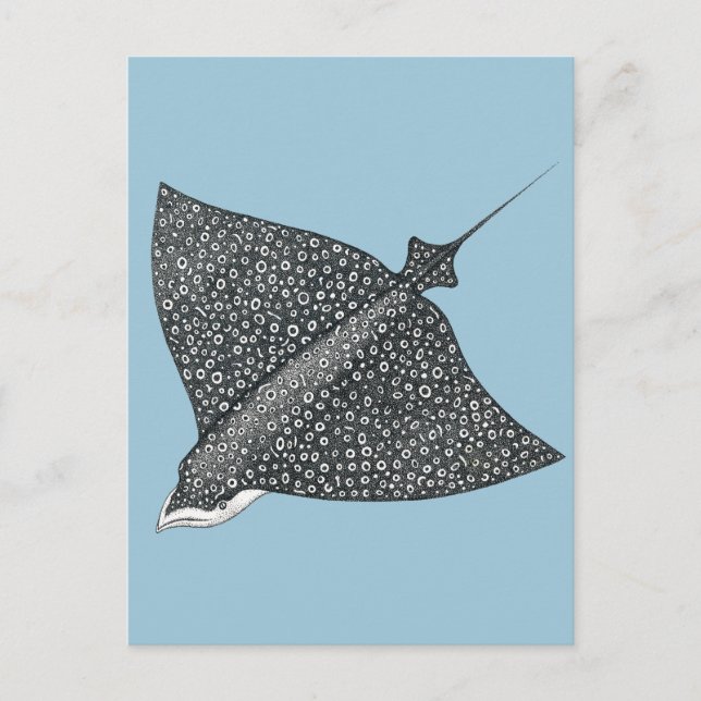Eagle Ray Postcard (Front)