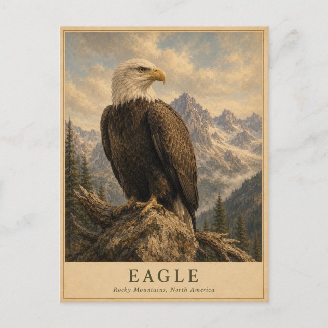 Eagle Rocky Mountains VINTAGE Postcard (Front)