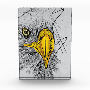Eagle Sketch Face Wall Art Photo Block