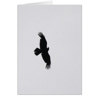 Eagle Soar