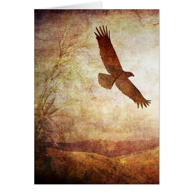 Eagle Soar (Front)