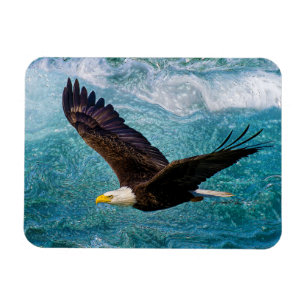 Eagle Soaring Above the Storm Magnet