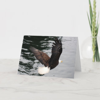 eagle soaring card