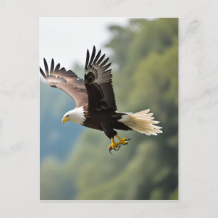 Eagle Soaring Through the Sky Postcard