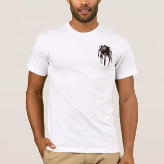 Eagle Spirit T-Shirt